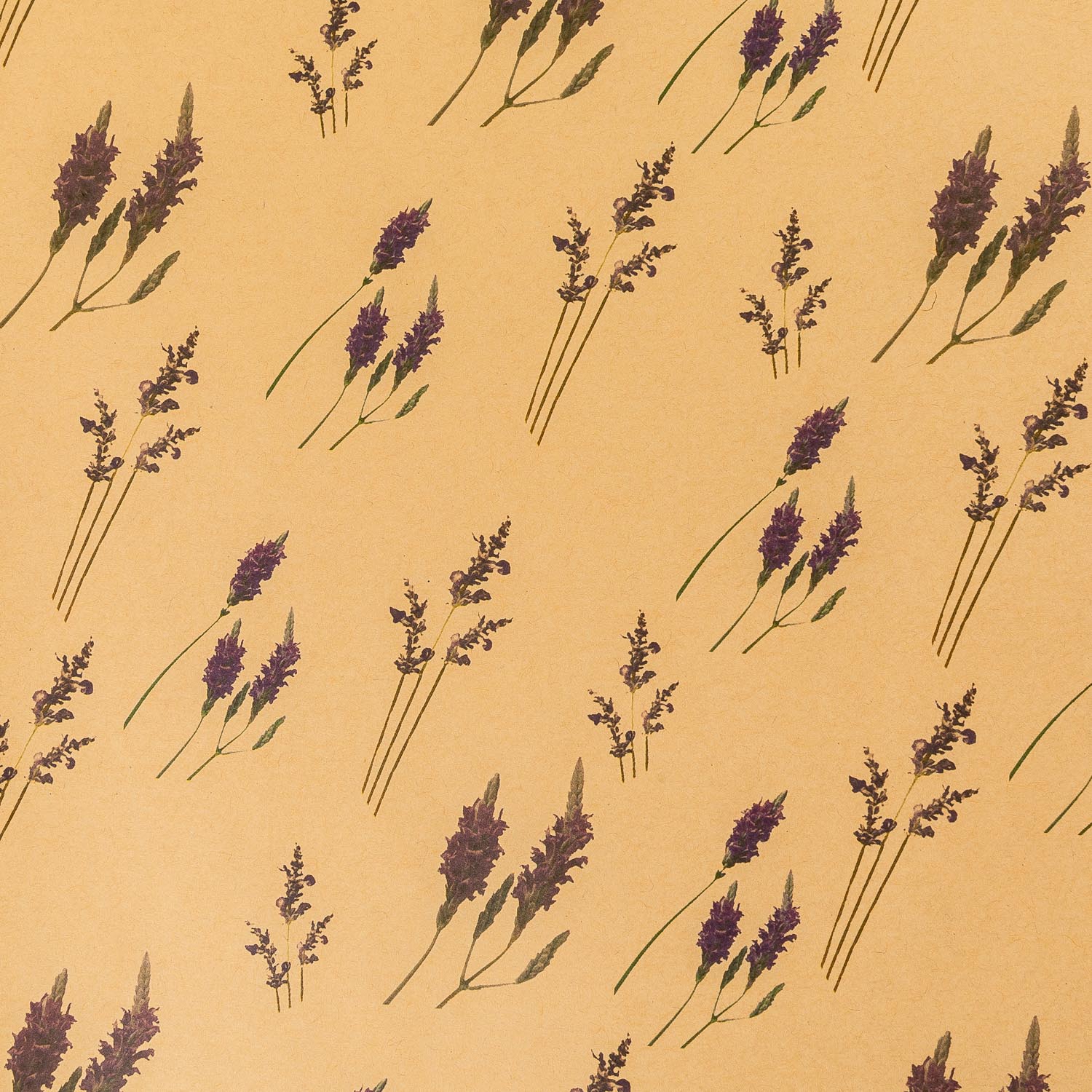 Бумага оберточная Selecta 51х74 см