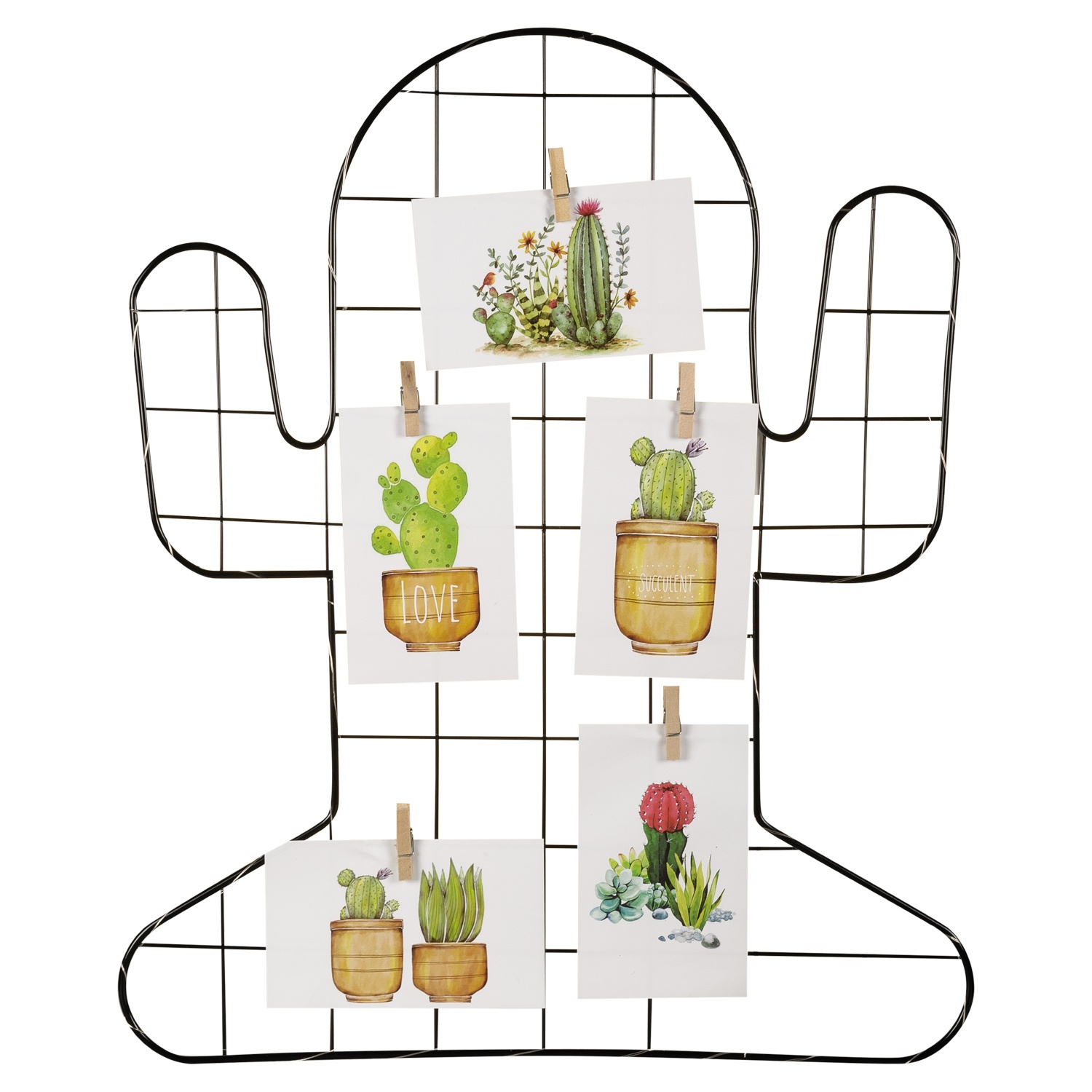 Фоторамка-кактус с прищепками Selecta 48x38 см с подсветкой